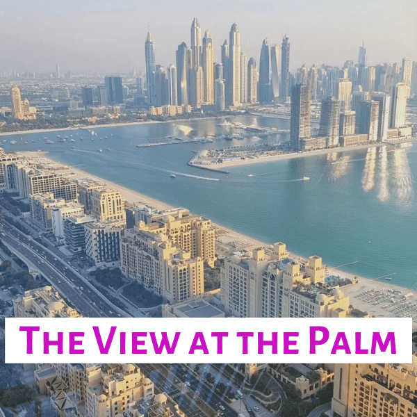 tickets the view at the palm