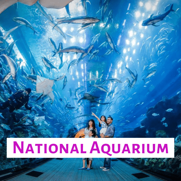 The national aquarium abu dhabi tickets