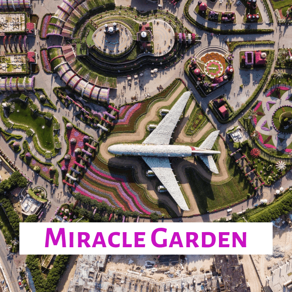 miracle garden tickets