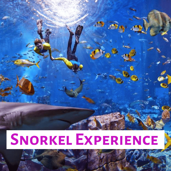 Snorkel Experience at The Lost Chambers