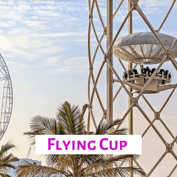 Flying cup dubai